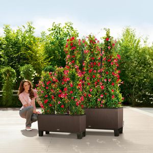 Produktbild für Sockel Lechuza 15032, für TRIO 40