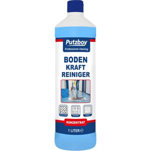 Kraftreiniger Putzboy Boden