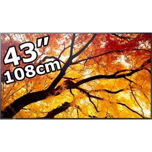 Produktbild für Digital-Signage Sharp MultiSync M432, 43 Zoll