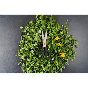 Produktbild für Küchenschere Zwilling Twin L, 41374-000-0, 23cm