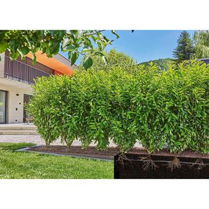 Produktbild für Micro-Drip-System Gardena Set Hecke, Sträucher, 13501-20, 50m