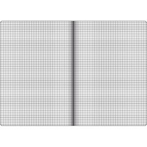 Produktbild für Schulheft Herlitz 340224 x-book, ab 5. Klasse, A4