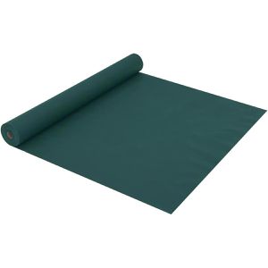 Produktbild für Wintervlies vidaXL 364861, grün, 1,6 x 10 m