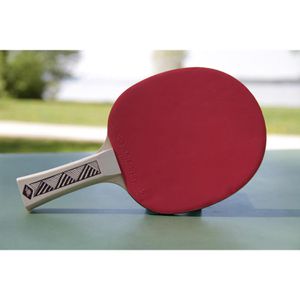 Produktbild für Tischtennisschläger Donic-Schildkröt Champs Line 150