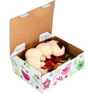 Produktbild für Faltkartons DeutschePost PACKSET Frühling, Gr. M