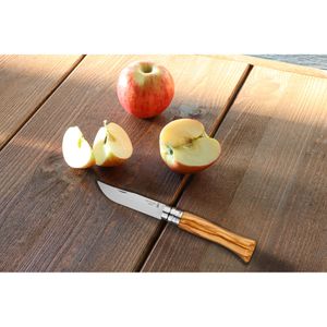 Produktbild für Klappmesser Opinel No.9 Inox, Zweihandmesser