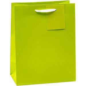 Produktbild für Geschenktüte TSI 86011, Trendfarben