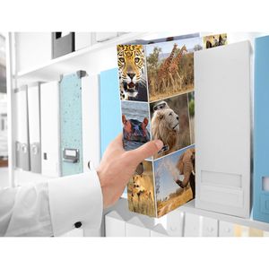 Produktbild für Ordner Herma 7168 Animals, Karton, A4
