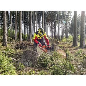 Produktbild für Forsthelm Protos Integral Forest G16, schwarz-gelb