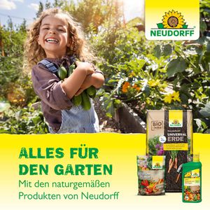 Produktbild für Gelbtafeln Neudorff 00945, 25 x 32 cm, zum Hängen
