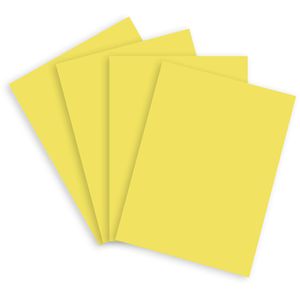 Produktbild für Kopierpapier Papyrus Rainbow 88042352