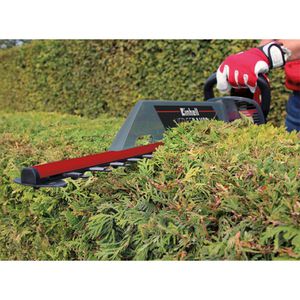 Produktbild für Heckenschere Einhell GC-EH 6055/1,3403320, Elektro