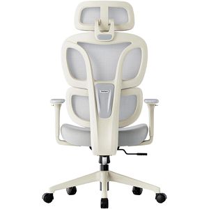 Produktbild für Bürostuhl FlexiSpot BS5WG
