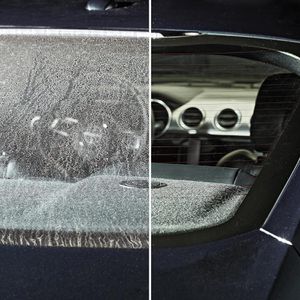 Produktbild für Scheibenreiniger Sonax Xtreme ScheibenKlar