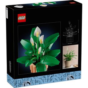 Produktbild für Klemmbausteine LEGO Botanicals 11504, ab 18 Jahre