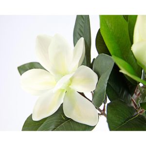 Produktbild für Kunstpflanze I.GE.A. Magnolie