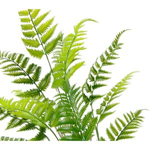 Produktbild für Kunstpflanze I.GE.A. Farnbusch
