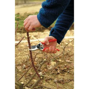 Produktbild für Gartenschere FELCO 2, Bypass