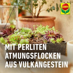 Produktbild für Blumenerde Compo CACTEA Kakteen- &amp; Sukkulentenerde