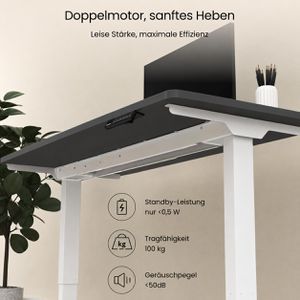 Produktbild für Schreibtisch FlexiSpot E5W, schwarz / weiß