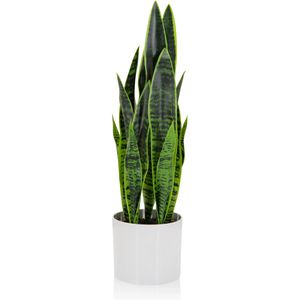 Produktbild für Kunstpflanze hJh-OFFICE Sansevieria