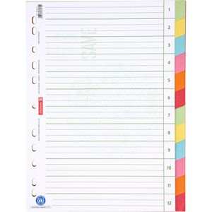 Produktbild für Register Brunnen 1066577, A4, blanko