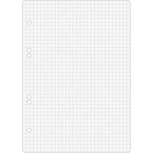 Produktbild für Ringbucheinlagen Brunnen 1066302, A5