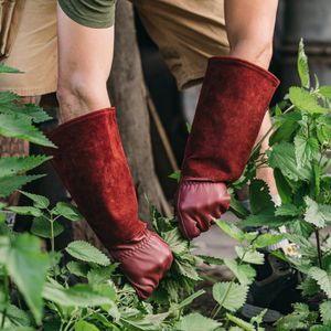Produktbild für Arbeitshandschuhe LauterSchutz dornensicher