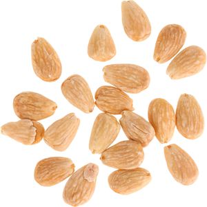 Produktbild für Mandeln Maryland ohne Schale