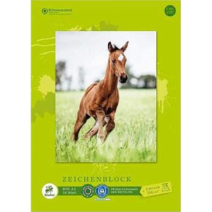 Produktbild für Zeichenblock Staufen Edition Dürer Zeichenblock A3
