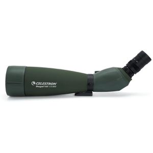 Produktbild für Spektiv Celestron Regal M2 22-67x100mm