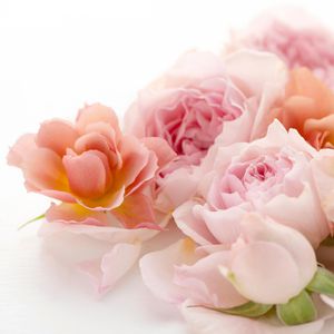 Produktbild für WC-Duftspüler Blink WC-Duftstein, Blütenfrische