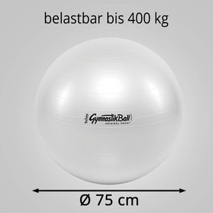 Produktbild für Gymnastikball PEZZI Standard Pezziball