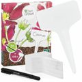 Produktbild in Größe 120