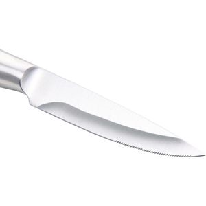 Produktbild für Steakmesser Fissler Essential 002-001-02-000/0, 2 Stück