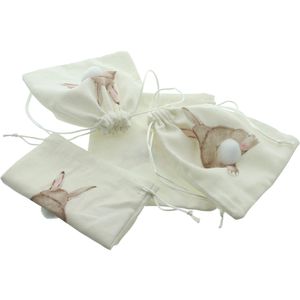 Produktbild für Geschenktüte Frank-Flechtwaren 770448, Hoppelhase