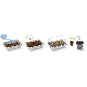 Produktbild für Quelltabletten Romberg 10091020, 20 Stück