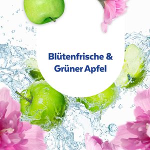 Produktbild für Allzweckreiniger Sagrotan BlütenfrischeGrünerApfel