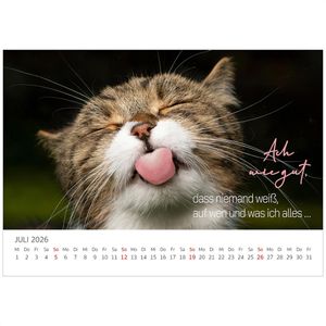 Produktbild für Bildkalender Edition-Seidel Coole Katzen 2026