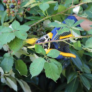 Produktbild für Gartenschere Grüntek Z-19, 295200016, Bypass