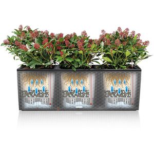 Produktbild für Pflanzkasten Lechuza TRIO Cottage 40 graphit