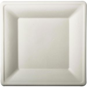 Einwegteller Papstar 89745 pure, Zuckerrohr