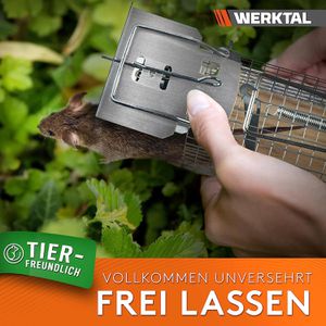 Produktbild für Mausefalle WERKTAL ML1000-01
