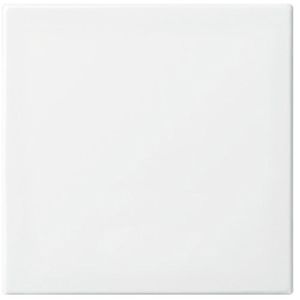 Schalter-Wippe Busch-Jaeger Balance SI 2506-914