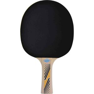 Produktbild für Tischtennisschläger Donic-Schildkröt Legends 300