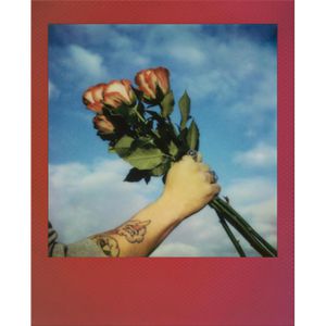 Produktbild für Sofortbildfilm Polaroid 006383 Go Film