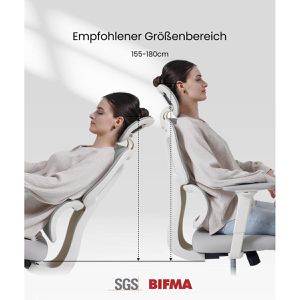 Produktbild für Bürostuhl FlexiSpot BS5WG