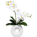 Creativ-green Phalaenopsis, Orchidee, lila, – Kunstblume cm 35 Höhe in AG Keramik-Vase, Böttcher
