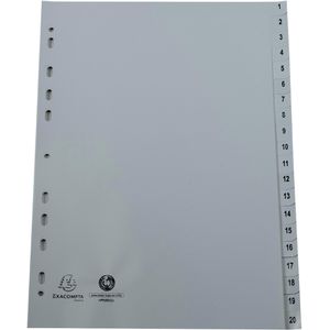 Produktbild für Register Exacompta 1721E, A4, 1-20