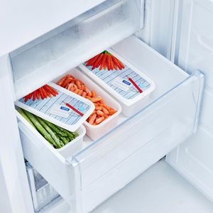 Produktbild für Frischhaltedose Rotho Domino, aus Kunststoff
